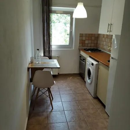 Appartement Cosy Apt - University - City Center Timişoara