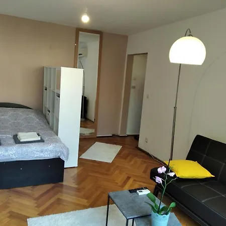 Appartement Cosy Apt - University - City Center Timişoara